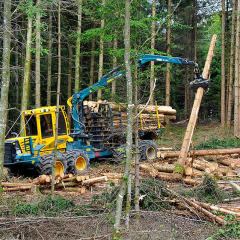 PHILIPP ForstWerkzeuge HULTDINS Holzgreifer SuperGrip 360 an 12t Ruecke